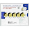 5 x 2 Euro Gedenkmünze Deutschland 2017 PP - Porta Nigra - im Blister