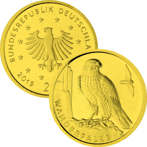 20 Euro Goldmünze "Wanderfalke" - Deutschland 2019 - Serie: "Heimische Vögel" - G Karlsruhe
