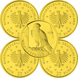 5 x 20 Euro Goldmünze "Wanderfalke" - Deutschland 2019 - Serie: "Heimische Vögel" - A D F G J