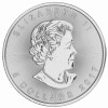 1 Unze Silber Maple Leaf 2017