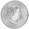 1 Unze Silber Maple Leaf 2016