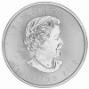 1 Unze Silber Maple Leaf 2015