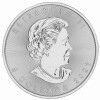 1 Unze Silber Maple Leaf 2021