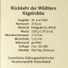 20 Euro Goldmünze "Kegelrobbe" - Deutschland 2022 - Serie "Rückkehr der Wildtiere" - A - Berlin
