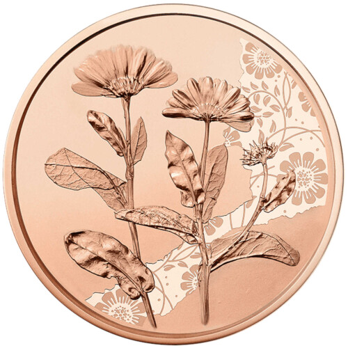 10 Euro Gedenkmünze Österreich 2022 Kupfer bfr. - Die Ringelblume