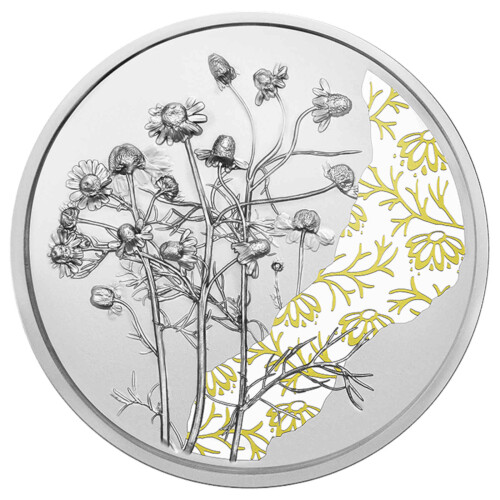 10 Euro Gedenkmünze Österreich 2023 Silber PP - Die Kamille