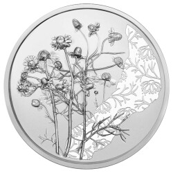 10 Euro Gedenkmünze Österreich 2023 Silber hgh...