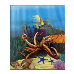 50 Cent Australien 2012 Silber PP - Octopus coloriert