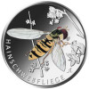 5 Euro Gedenkmünze Deutschland 2024 PP - Hainschwebfliege