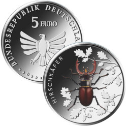 5 Euro Gedenkmünze Deutschland 2024 bfr. - Hirschkäfer