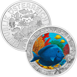 3 € Österreich 2024 - Blauer Doktorfisch
