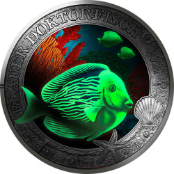 3 € Österreich 2024 - Blauer Doktorfisch