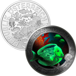 3 € Österreich 2024 - Blauer Doktorfisch