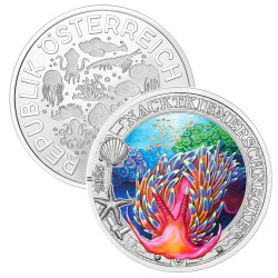 3 € Österreich 2025 - Nacktkiemerschnecke