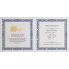 5 Mark Germania 2023 st - 1 Unze Silber