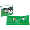 11 Euro Deutschland 2024 Silber PP - Fußball EM