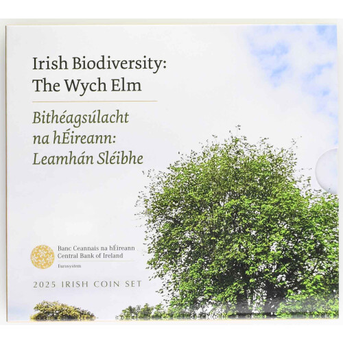 Offizieller KMS Irland 2025 in Stempelglanz (st)