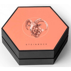 Einzeletui für 20 Euro Österreich 2025 - Steinbock