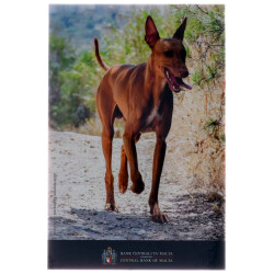 2 Euro Gedenkmünze Malta 2026 st - Pharaonenhund - im Blister