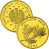 20 Euro Goldmünze "Kiefer" - Deutschland 2013 - Serie: "Deutscher Wald"